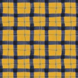 The Plaid One